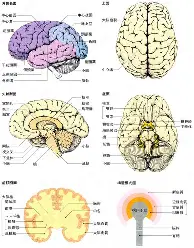  利物浦40巴塞罗那全场录像 